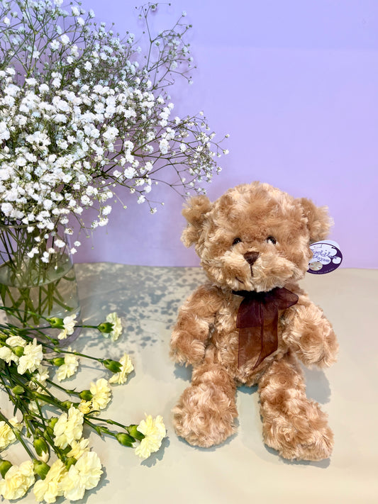 Teddy Bear